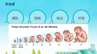 產(chǎn)科院外產(chǎn)品全國招商 如何營造新生寶寶有安全感的聲音環(huán)境