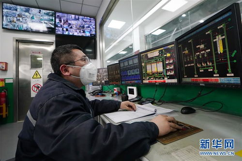 黑龍江 糧油加工企業(yè)加緊生產(chǎn)