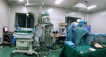 為了佩奇寶寶,春節期間婦產科全部 配齊