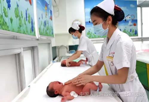 第175醫(yī)院 婦產(chǎn)科