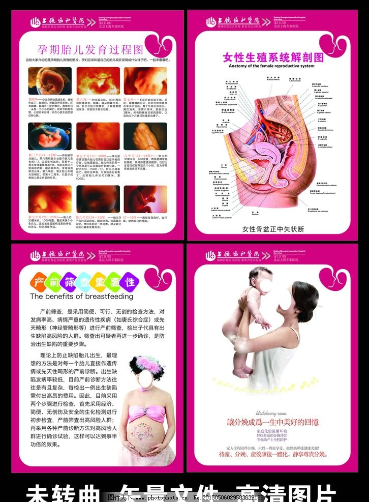 婦產科孕期知識宣傳圖片