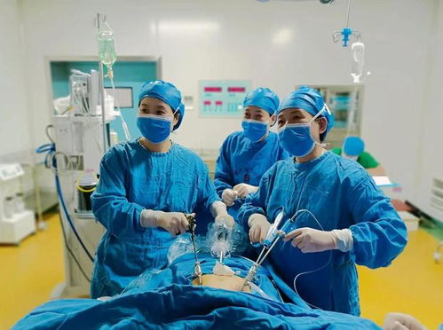 再添強將 兩名重量級婦產科專家加盟福興婦產醫院，提升醫療實力