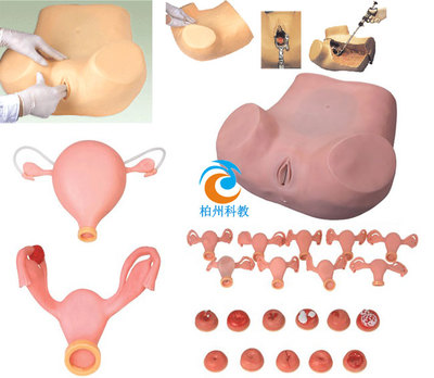 高級(jí)婦科訓(xùn)練模型在婦產(chǎn)科教育中的重要性與應(yīng)用
